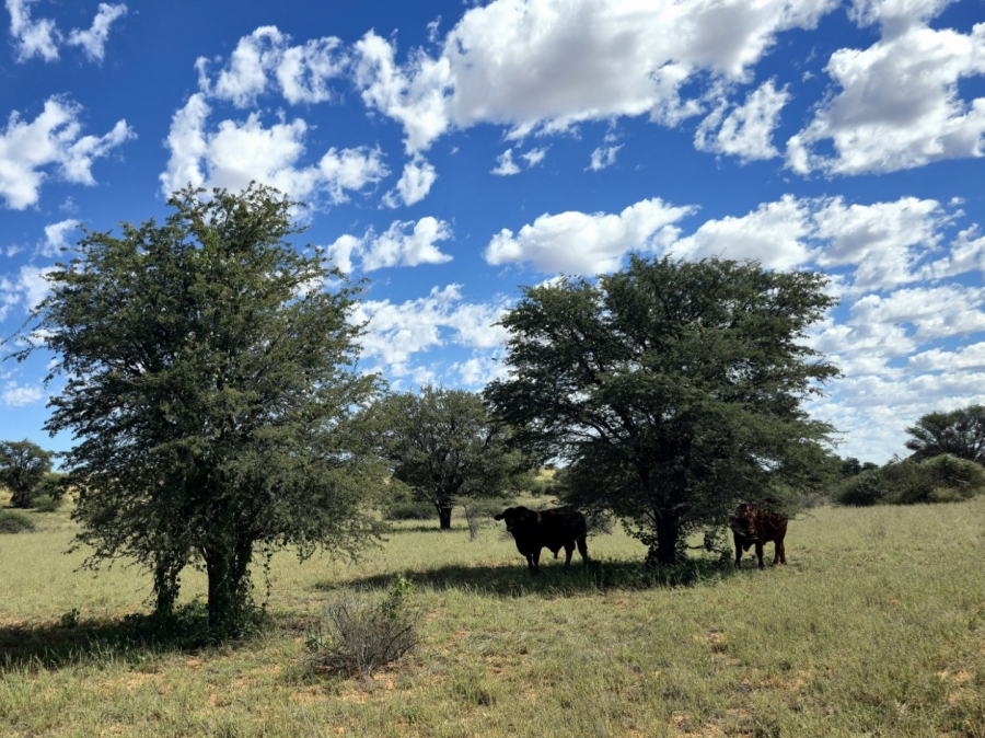 Commercial Property for Sale in Upington Rural Northern Cape